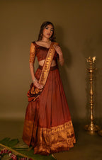 Half Saree - Brown - head to toe